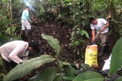 Collecting-soil-at-Canande-reserve-1-Copiar
