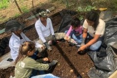 Soil-and-plant-collection-at-Nuevo-Carmen-community-Copiar