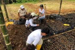 Soil-and-plants-collection-at-Chontaduro-community-13-Copiar