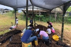 Soil-and-plants-collection-at-Chontaduro-community-6-Copiar